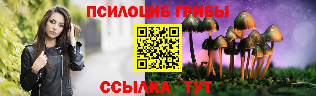 Галлюциногенные грибы Cubensis  Вход с VPN  Тара 